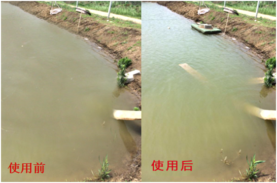 渾濁水、對(duì)蝦吃料差怎么處理？